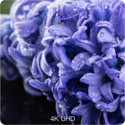 Телевізор 58 дюймів CHiQ U58H7 (HDR 60 Гц Bluetooth 4K Wi-Fi Smart TV)