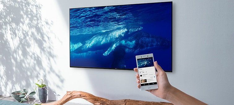 Телевізор Sony KD-55XH8196 (IPS 4K  Smart TV Android 9.0 HDR 20Вт) 919